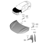 Diagram for Kia EV6 Hood Hinge - 66910CV000