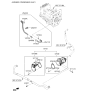 Diagram for 2022 Kia Niro EV Radiator Hose - 25450K4010