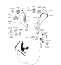 Diagram for 2010 Kia Sorento Cam Gear - 243503C113