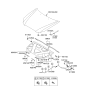 Diagram for 2009 Kia Amanti Lift Support - 811713F500