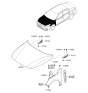 Diagram for 2017 Kia Cadenza Hood Hinge - 79110F6000