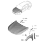 Diagram for 2024 Kia K5 Hood Hinge - 66920L2000