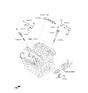 Diagram for 2016 Kia K900 Spark Plug Wire - 396103C700