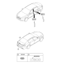 Diagram for Kia K900 Door Moldings - 863633T000