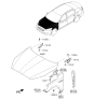 Diagram for 2015 Kia K900 Hood Hinge - 791103T000