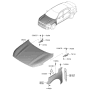 Diagram for Kia Cadenza Hood Hinge - 66910F6500