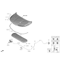 Diagram for 2023 Kia Carnival Lift Support - 81170R0000