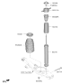 Diagram for 2024 Kia Forte Bump Stop - 55326F2000