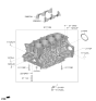 Diagram for Kia K4 Crankshaft Seal - 214432J000