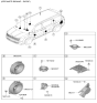 Diagram for 2026 Kia Carnival Car Speakers - 96380R0300