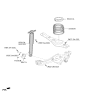 Diagram for 2025 Kia Carnival Shock Absorber - 55307R0AD0