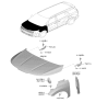 Diagram for 2026 Kia Carnival Hood Hinge - 66920R0500