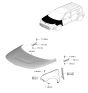 Diagram for 2025 Kia Soul Hood - 66400K0500