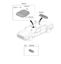 Diagram for Kia K900 Dome Light - 92810J6020BGA