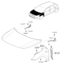 Diagram for Kia Hood Hinge - 79120H8000