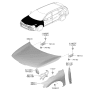 Diagram for 2026 Kia Sportage Hood Hinge - 66920P1000