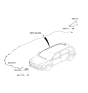 Diagram for Kia Sportage Antenna Mast - 96210D9850EB