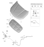 Diagram for 2025 Kia Telluride Lift Support - 81161S9000