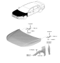 Diagram for Kia K4 Fender - 66321GG000