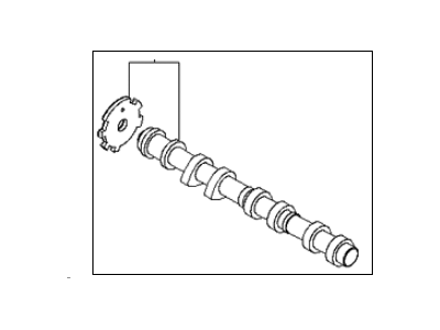 2009 Kia Sedona Camshaft - 249003CBC1