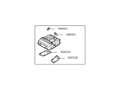 Kia 928002T002UP Lamp Assembly-OVERHEADEAD