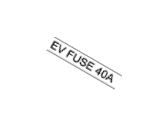 1879000621 Genuine Kia EV FUSE 40A