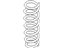 Kia 553504C010 Rear Springs