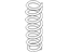 Kia 553502T030 Rear Springs