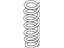 Kia 553353V054 Rear Springs