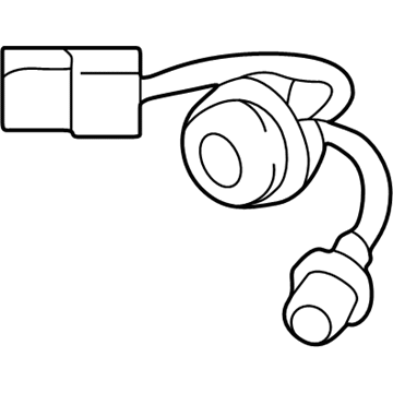 Kia 924524C000 Bulb Holder & Wiring Assembly