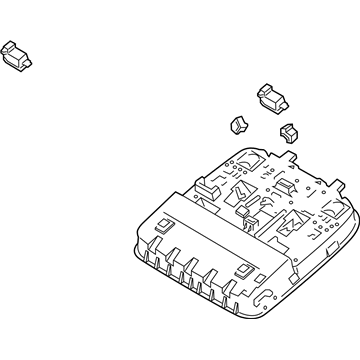 Kia 92800S9100GYD Lamp Assembly-Overhead C