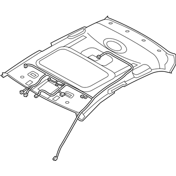 Kia 854101W150HCS Headlining Assembly