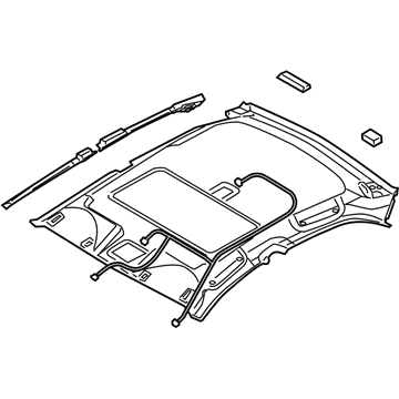 Kia 854012F250NM Headlining Assembly