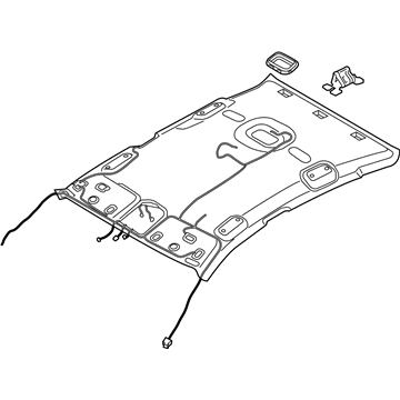 Kia 85310D5000CGA Headlining Assembly