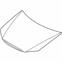 Kia Spectra Hood - 664002F010 Hood Panel Assembly
