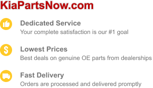 Choose KiaPartsNow for dedicated service, low prices, and fast delivery.